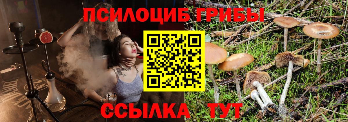 Галлюциногенные грибы мухоморы  Вход с VPN  Белореченск  Галлюциногенные грибы Cubensis 